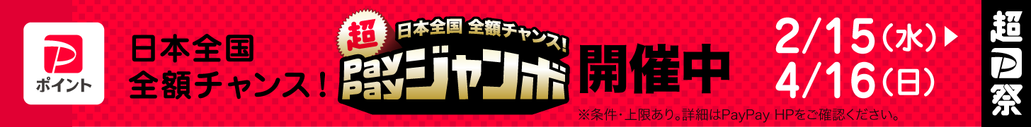信州味噌　ペイペイジャンボ