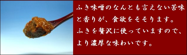 信州味噌　ふき味噌